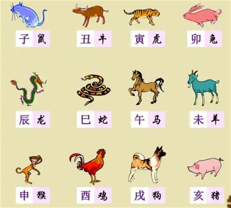 年份生肖對照|【十二生肖年份】12生肖年齡對照表、今年生肖 